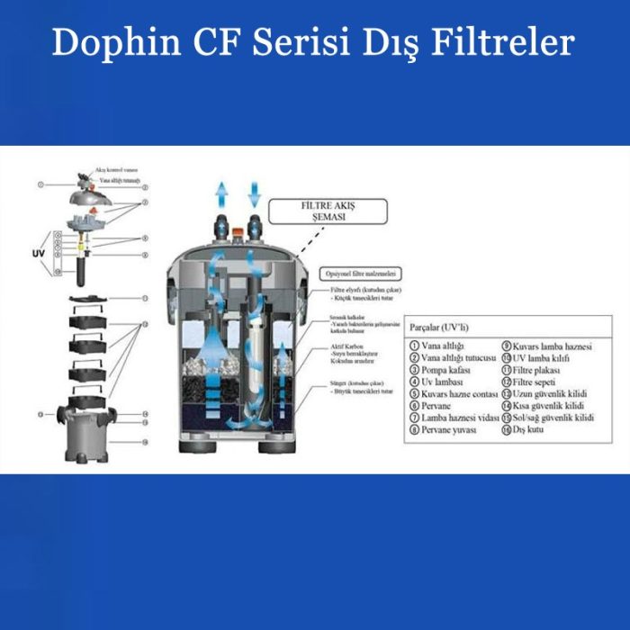 Dophin CF 700 Dış Filtre 750 L hr
