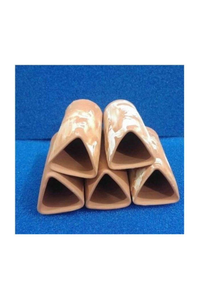 5 Adet Birevcil Cüce Vatoz Yavruluğu