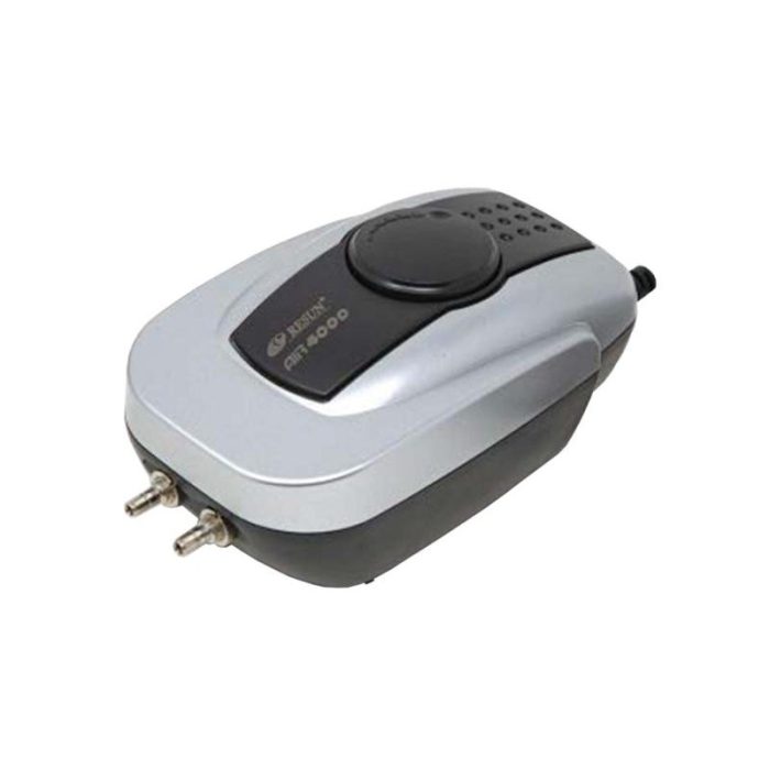 Resun Air 4000 Çift Çıkışlı Hava Motoru 4.5 lt/dk