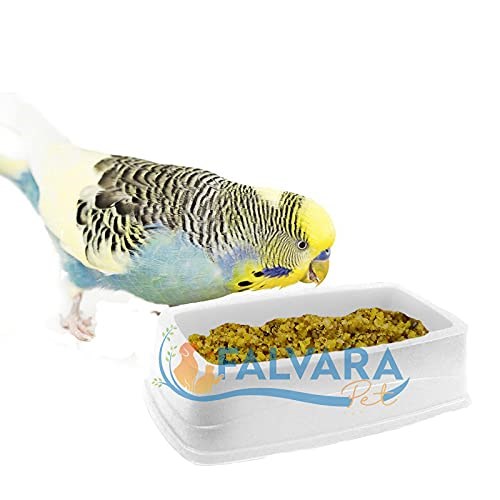 birevcil Kafes Kuşları İçin Devrilmez Yer Mamalığı (5 Adet)