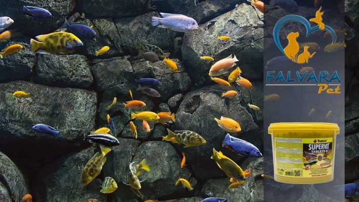 100 Adet Tropical Supervit A Tablets Kovadan Bölme Tablet Balık Yemi