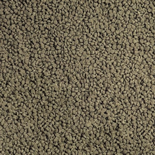 Sera Granugreen Bitkisel Balık Yemi 500 Gram