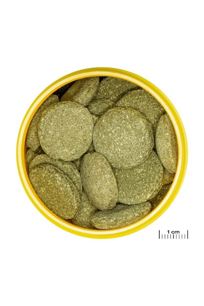 1000 Gram Pro Novo Pleco Wafer Xl Vatoz Için Tablet Yem