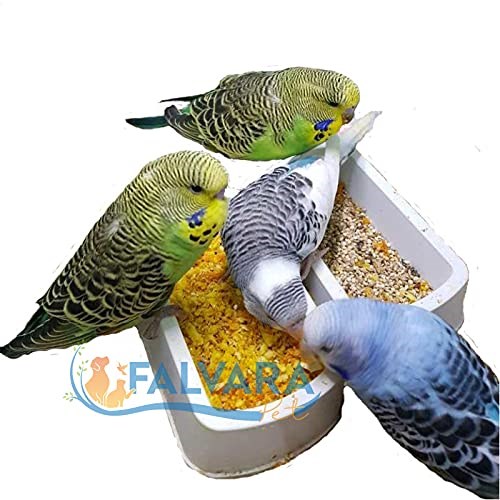 birevcil Kafes Kuşları İçin Devrilmez Yer Mamalığı (5 Adet)