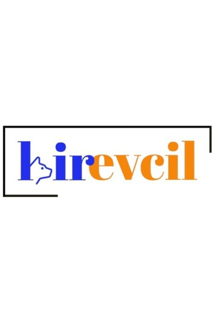 10 Adet Şampiyon Kafes Kuşları Için Devrilmez Yer Mamalığı