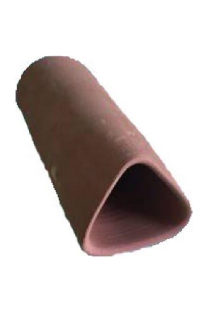 5 Adet Birevcil Cüce Vatoz Yavruluğu