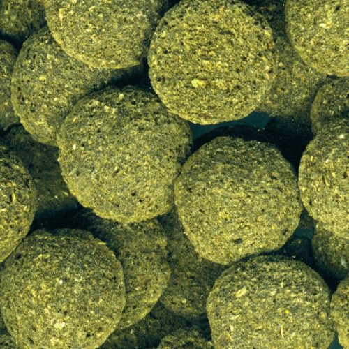 1000 Gram Jbl Pro Novo Pleco Wafer M Vatoz İçin Tablet Yem